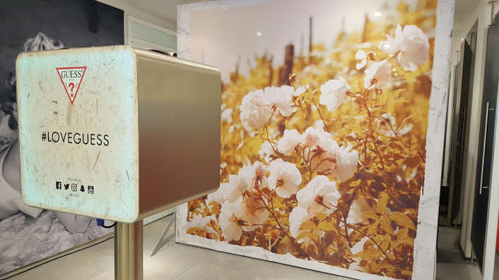 Fotobox vor Hintergrund mit Blumenwiese